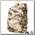 Городской рюкзак Dakine 365 Pack 30L Ashcroft Camo